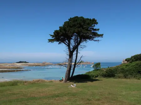 La Rotonde, Maison 8 personnes à Penvénan - Photo 39