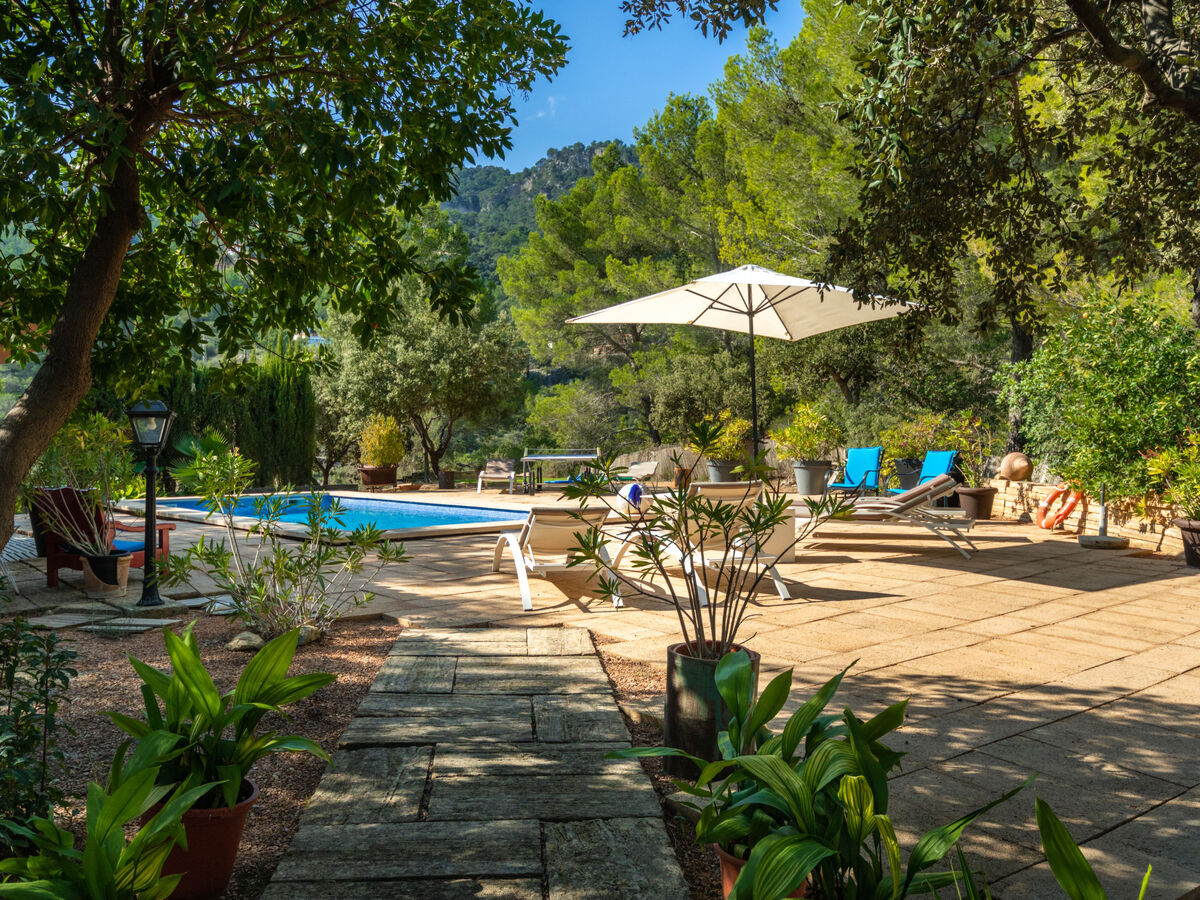 Short des Verger – Maison 8 pers. avec piscine à Esporles - Photo 30