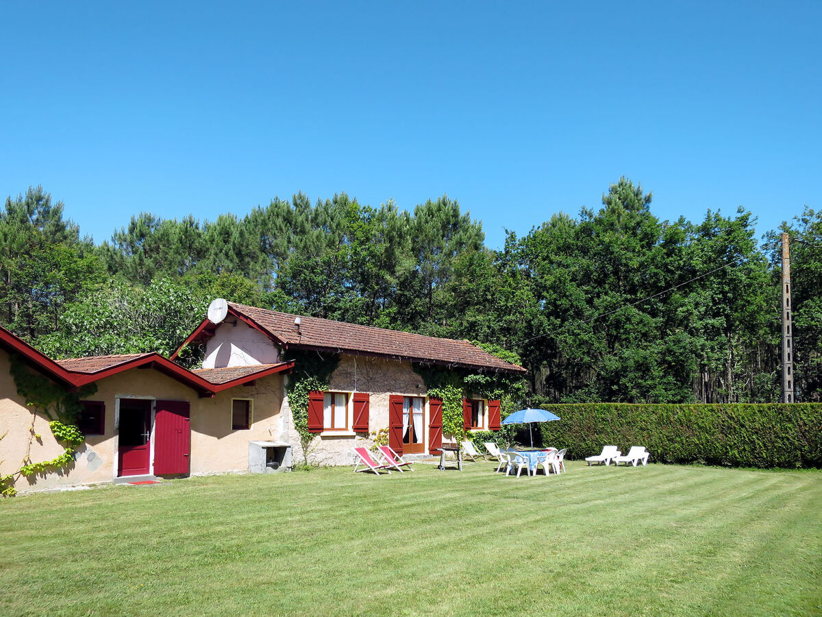 Vignas, maison 3 chambres au cœur de la nature - Photo 1