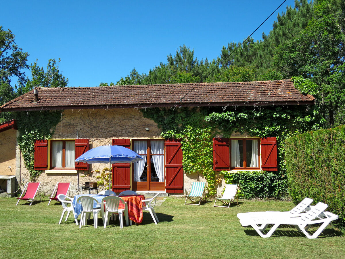 Vignas, maison 3 chambres au cœur de la nature - Photo 3