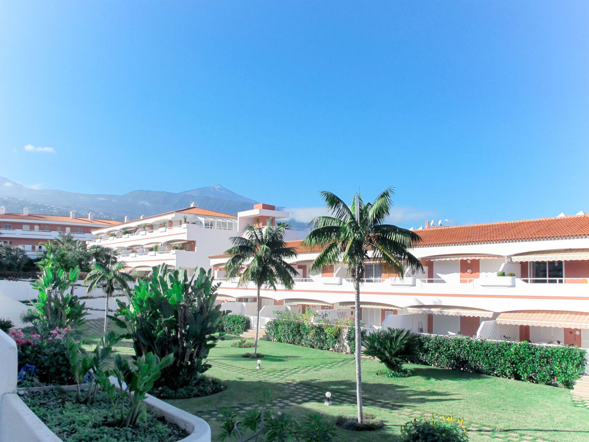 Laurisilva – Appartement 2 pièces, terrasse vue mer - Photo 16