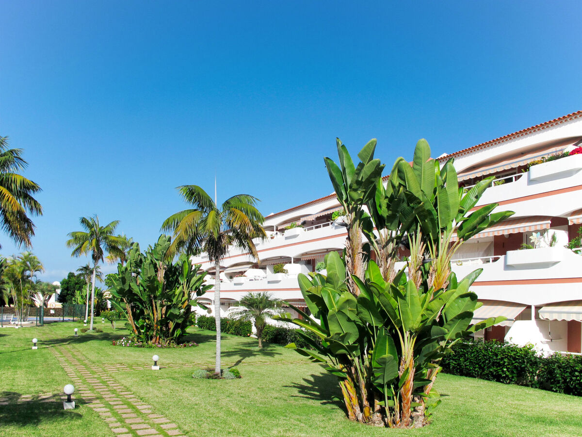 Laurisilva – Appartement 2 pièces, terrasse vue mer - Photo 21