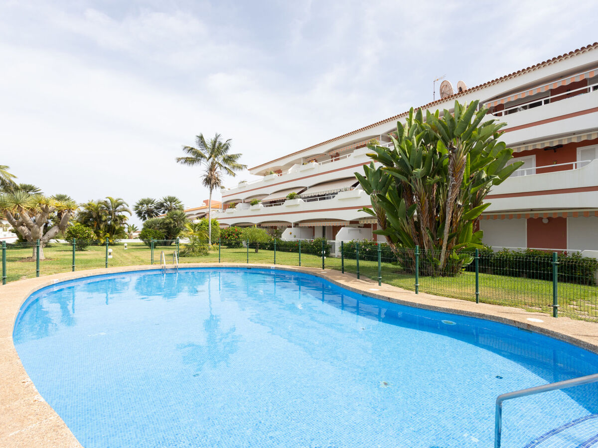 Laurisilva – Appartement 2 pièces, terrasse vue mer - Photo 22