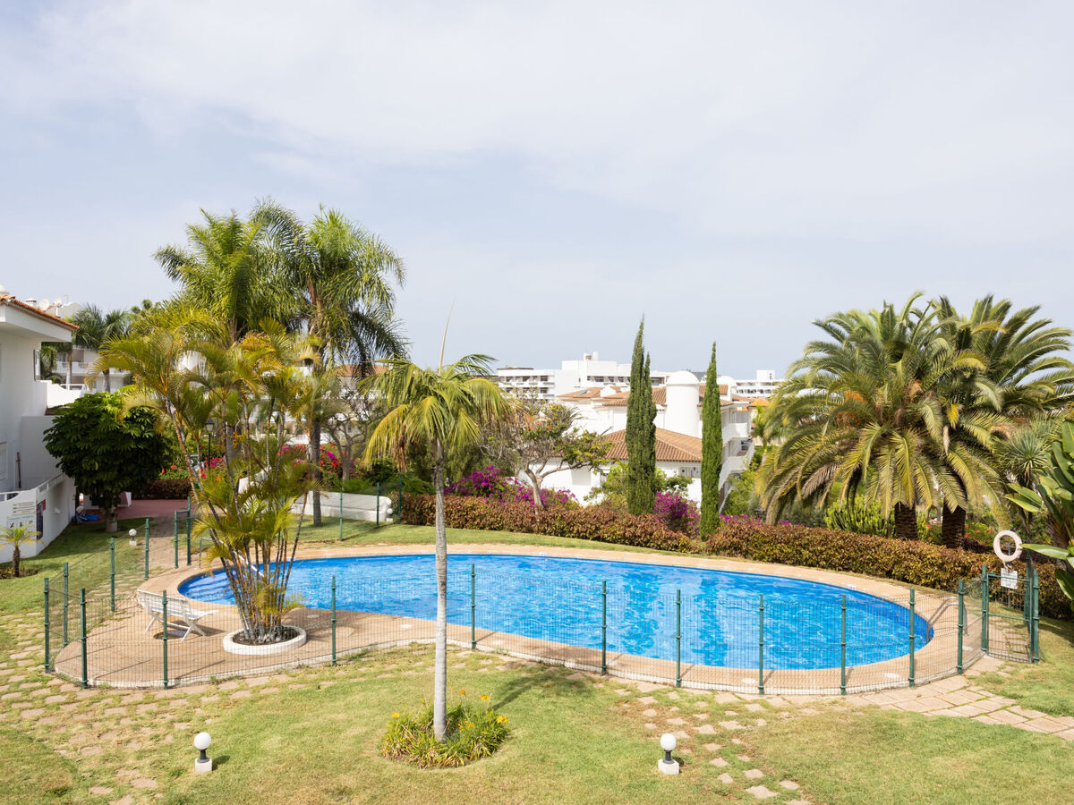 Laurisilva – Appartement 2 pièces, terrasse vue mer - Photo 23