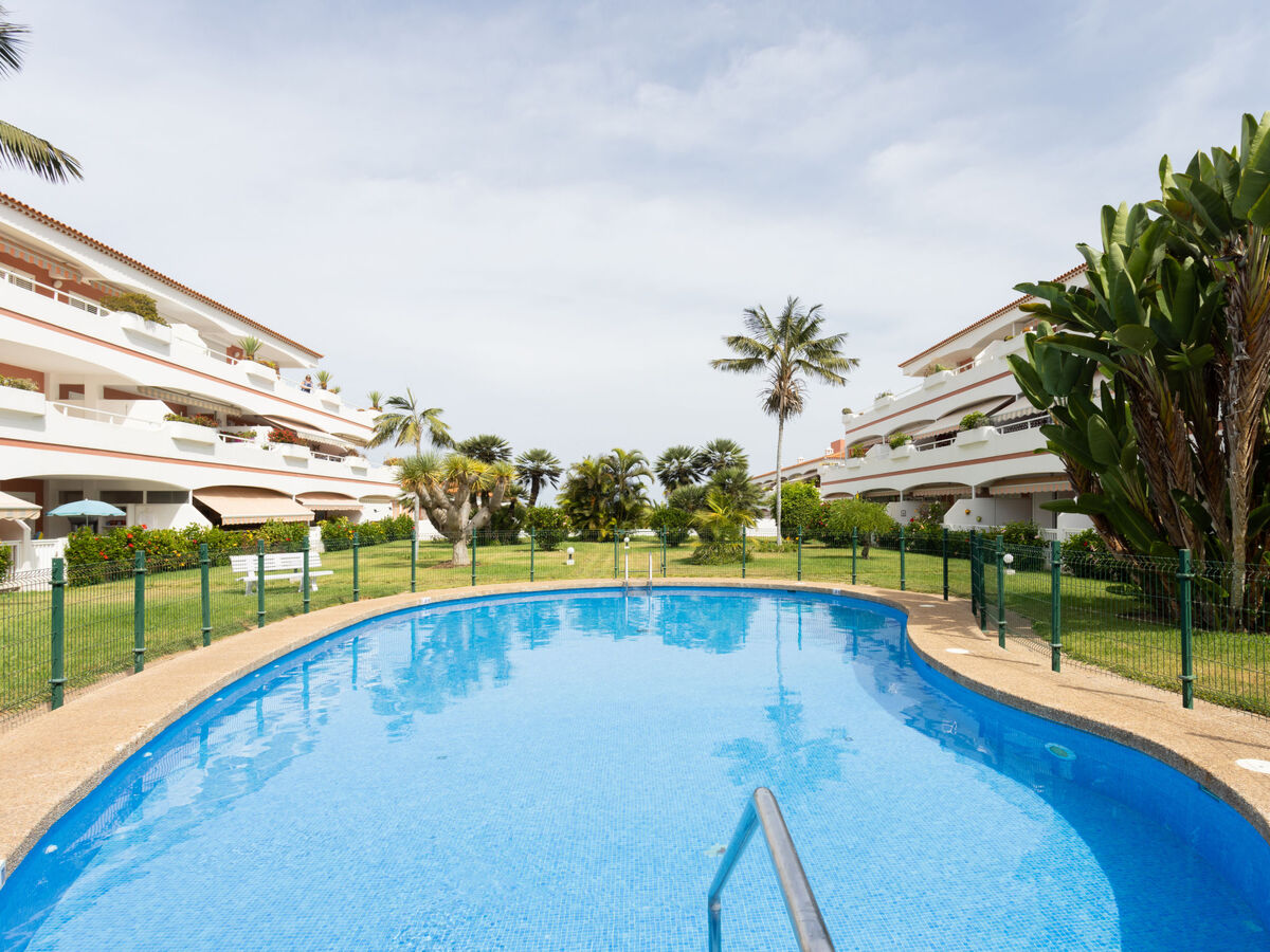 Laurisilva – Appartement 2 pièces, terrasse vue mer - Photo 24