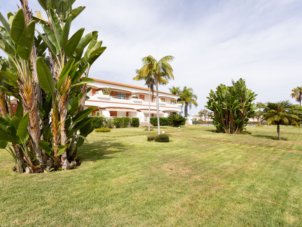 Laurisilva – Appartement 2 pièces, terrasse vue mer - Photo 26