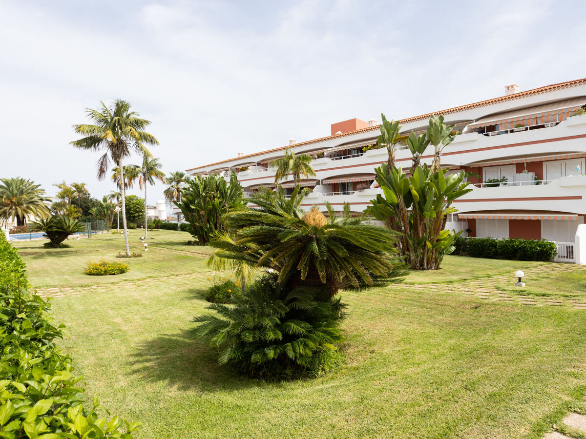 Laurisilva – Appartement 2 pièces, terrasse vue mer - Photo 27