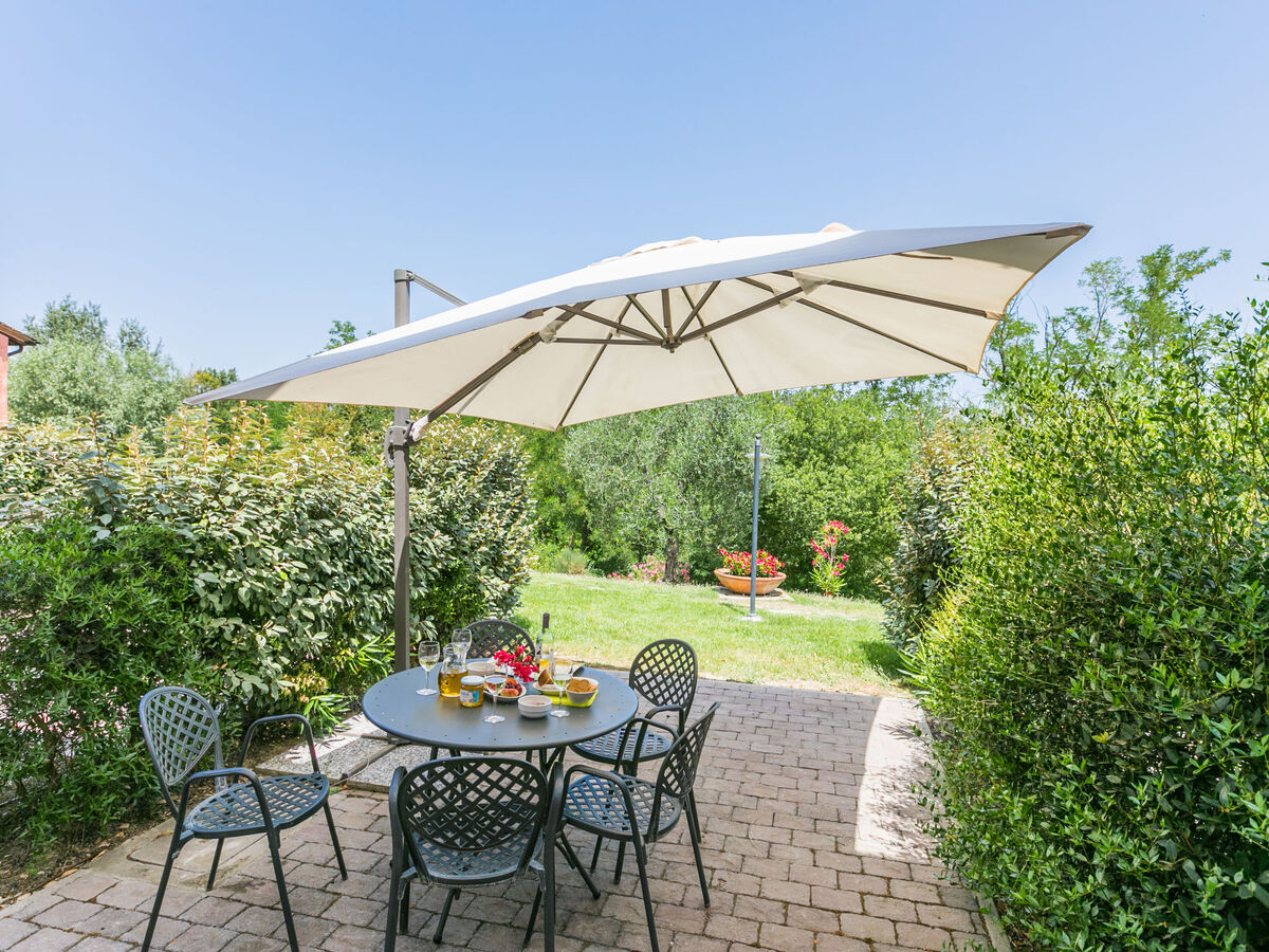 Gîte Francigena à Castelfiorentino, piscine et jardin - Photo 4