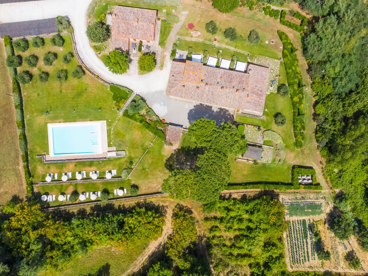 Gîte Francigena à Castelfiorentino, piscine et jardin - Photo 39