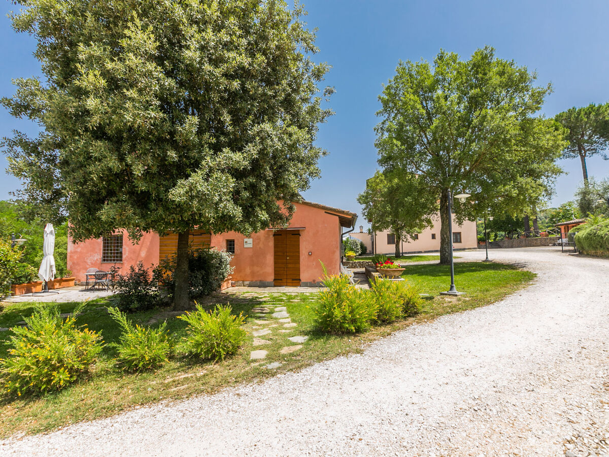 Gîte Francigena à Castelfiorentino, piscine et jardin - Photo 42