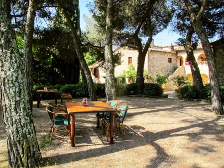 Cellole - Cellole 1 (CTC150), Gite 4 personnes à Castellina in Chianti - Photo 21