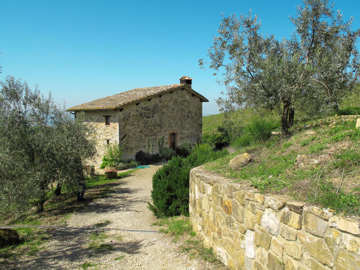 Cellole - Valluccia, gîte en domaine viticole - Photo 17