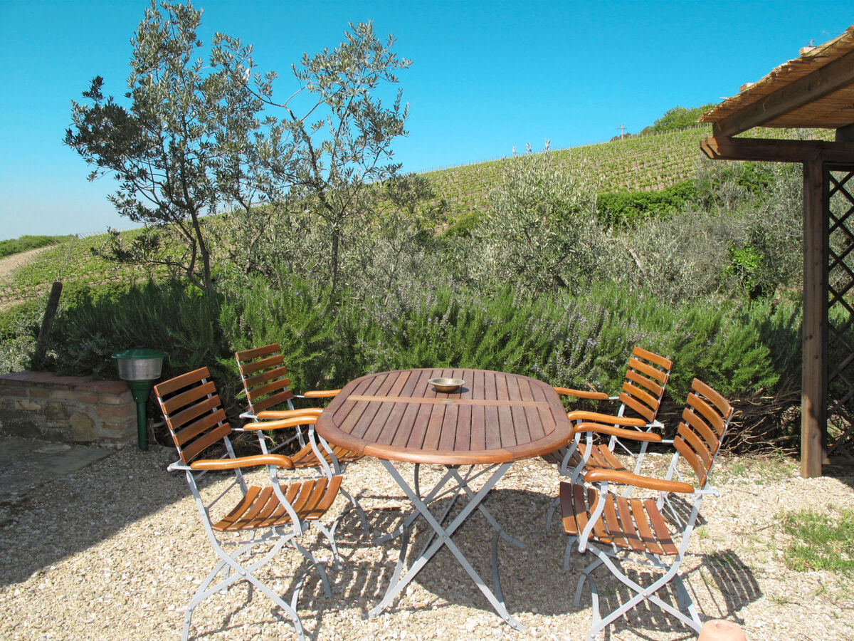 Cellole - Valluccia, gîte en domaine viticole - Photo 19