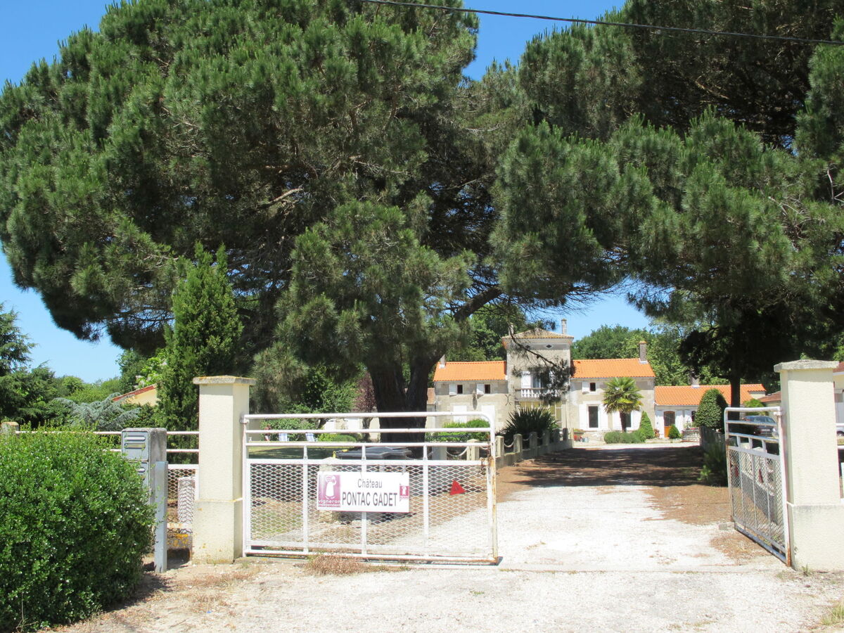 Pontac-Gadet 1, maison vignoble Jau-Dignac - Photo 21