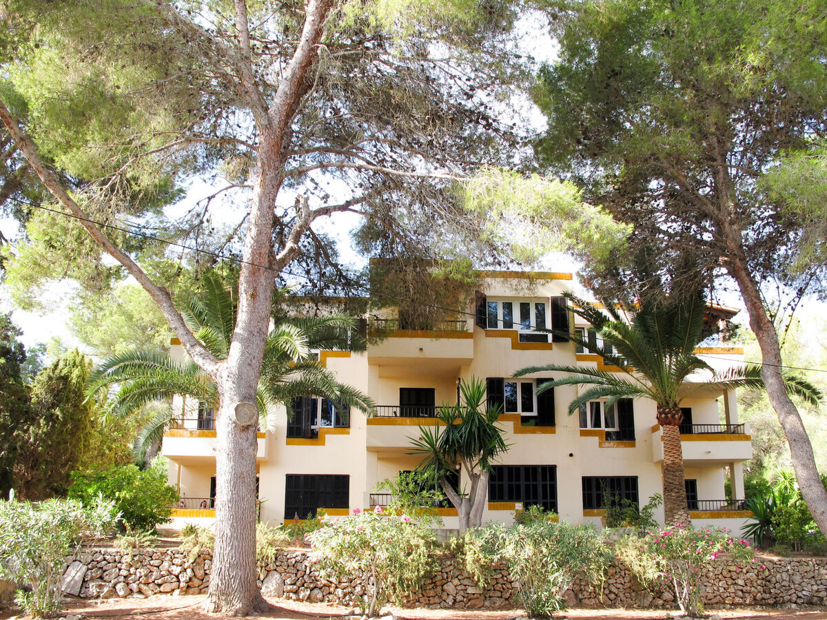 Los Pinos – Appartement 2 chambres à Cala Murada - Photo 19