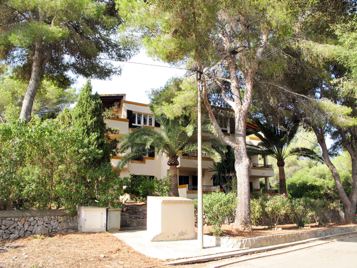 Los Pinos – Appartement 2 chambres à Cala Murada - Photo 20