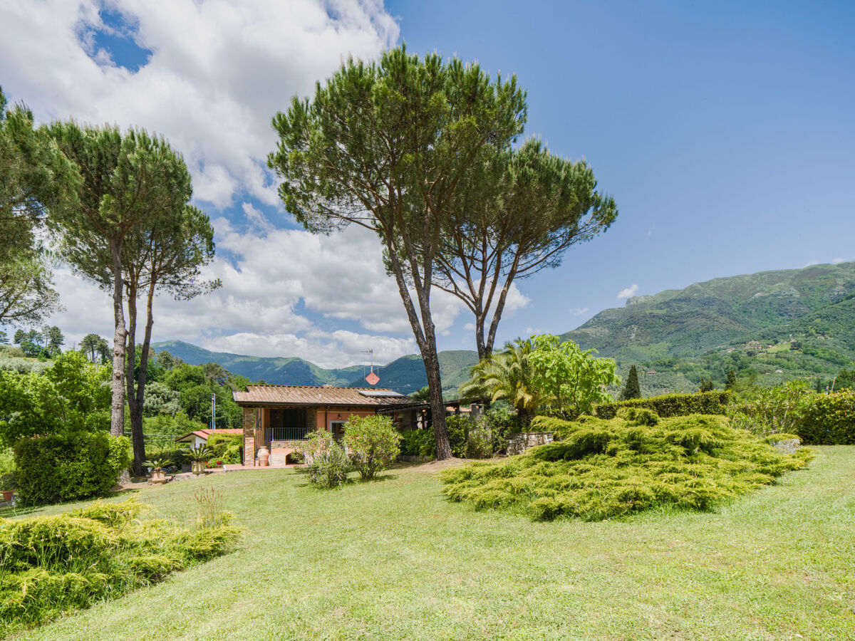 Maison Versilia 6 pers. avec piscine à Camaiore - Photo 35
