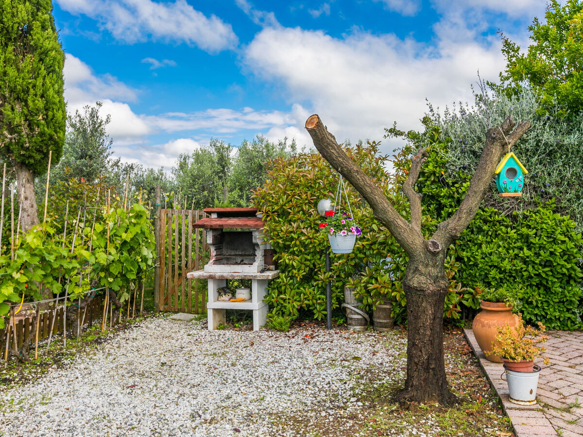 La Casina, maison rurale près de Vinci avec piscine - Photo 41