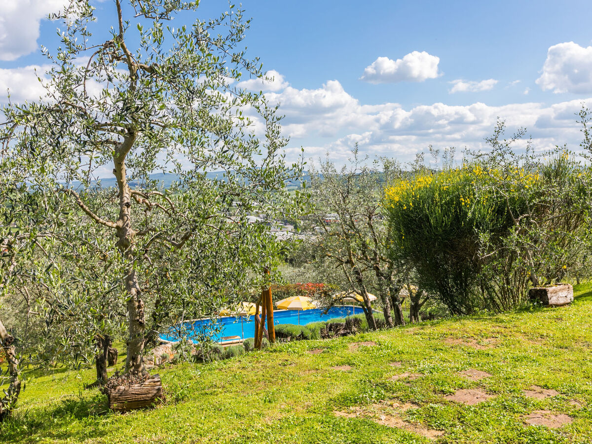 Poggio all'Aia – Maison 8 pers. avec piscine - Photo 69