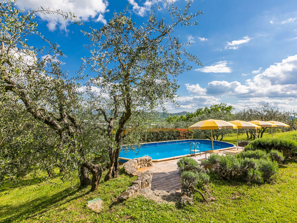 Poggio all'Aia – Maison 8 pers. avec piscine - Photo 84