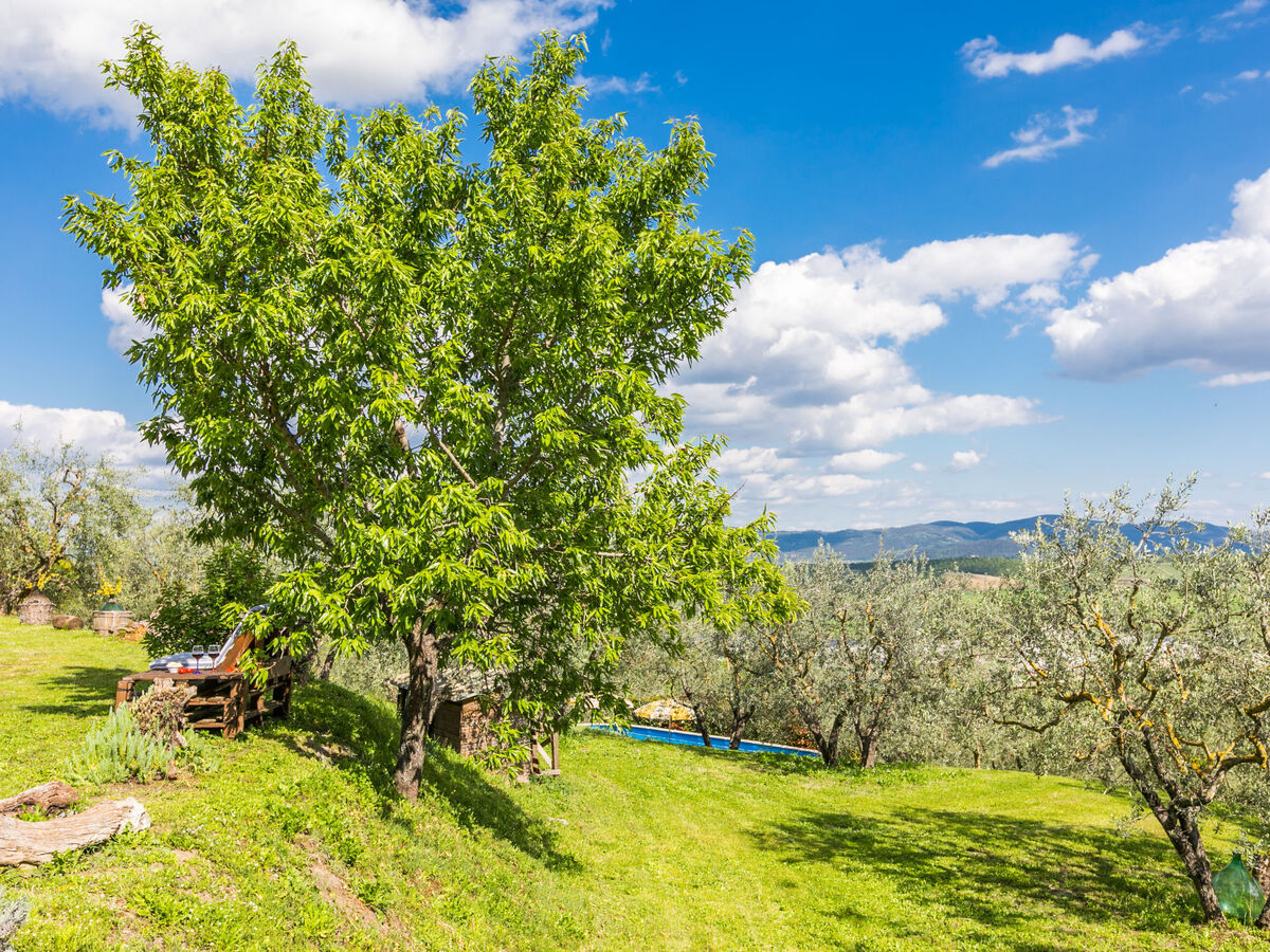 Poggio all'Aia – Maison 8 pers. avec piscine - Photo 86