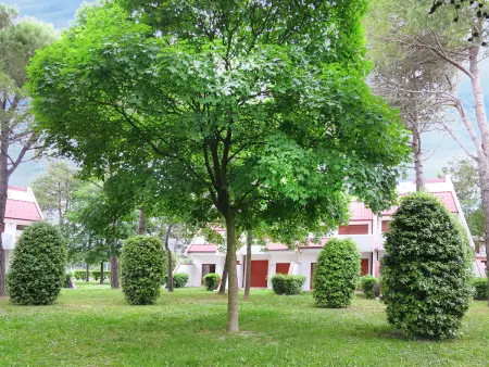 Maison Villaggio Marina, 3 chambres à 500 m de la mer : photo 16