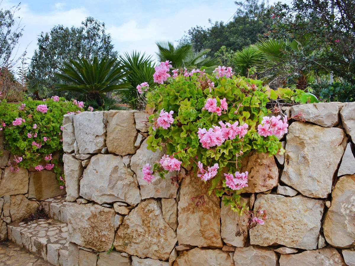 Do Lagar – Maison 6 pers. piscine privée, Carvoeiro - Photo 17