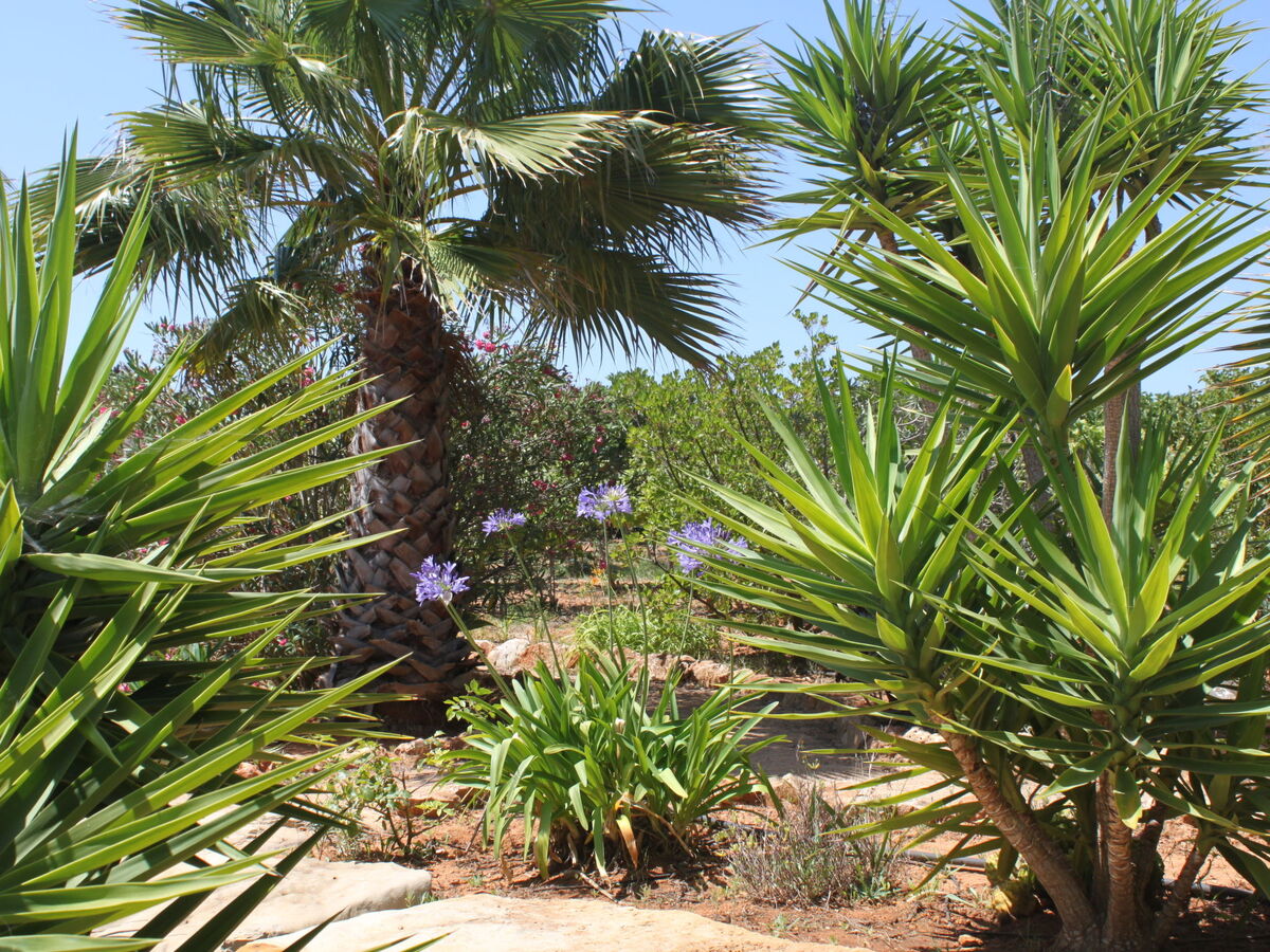 Do Lagar – Maison 6 pers. piscine privée, Carvoeiro - Photo 18