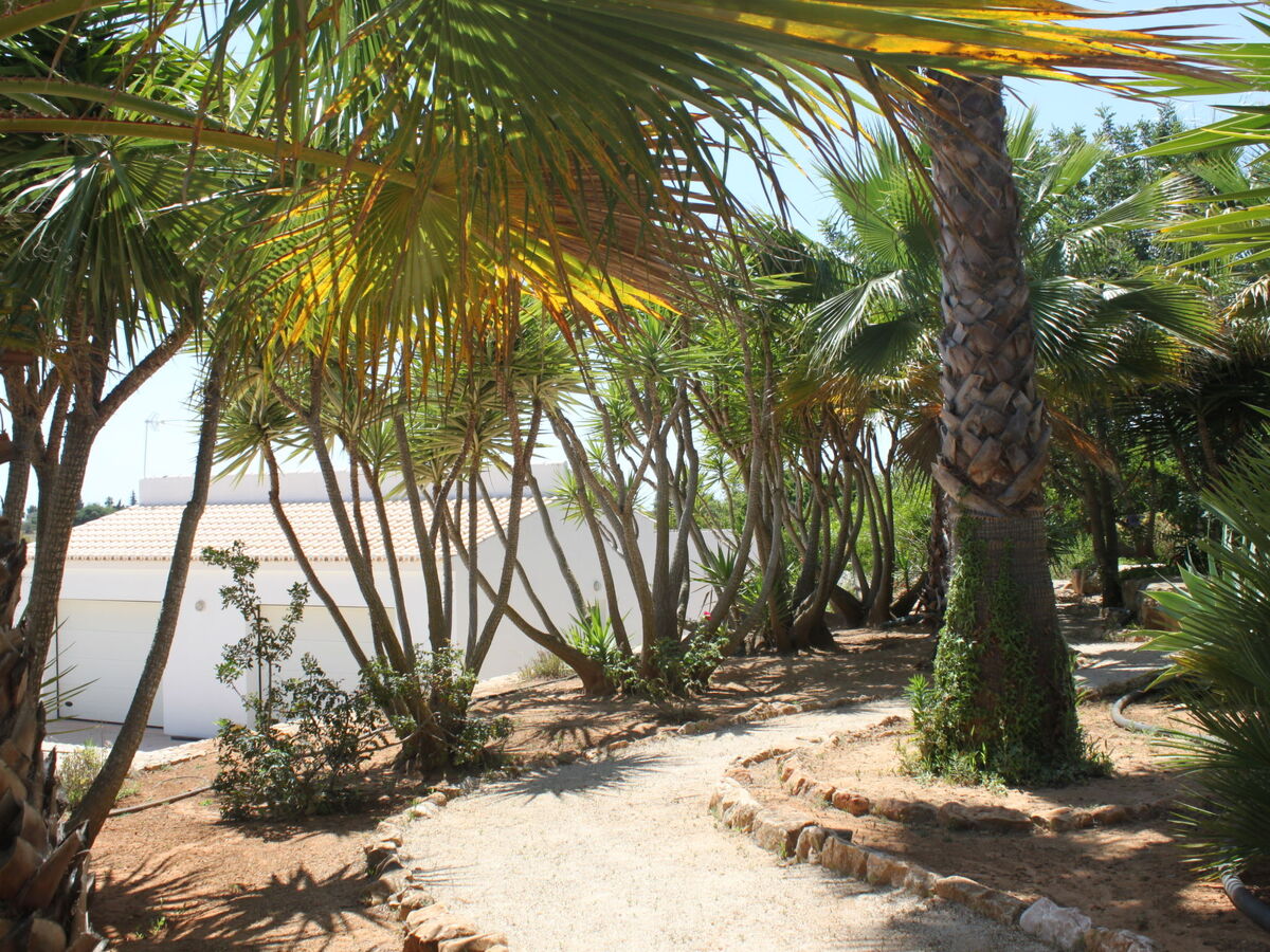 Do Lagar – Maison 6 pers. piscine privée, Carvoeiro - Photo 22