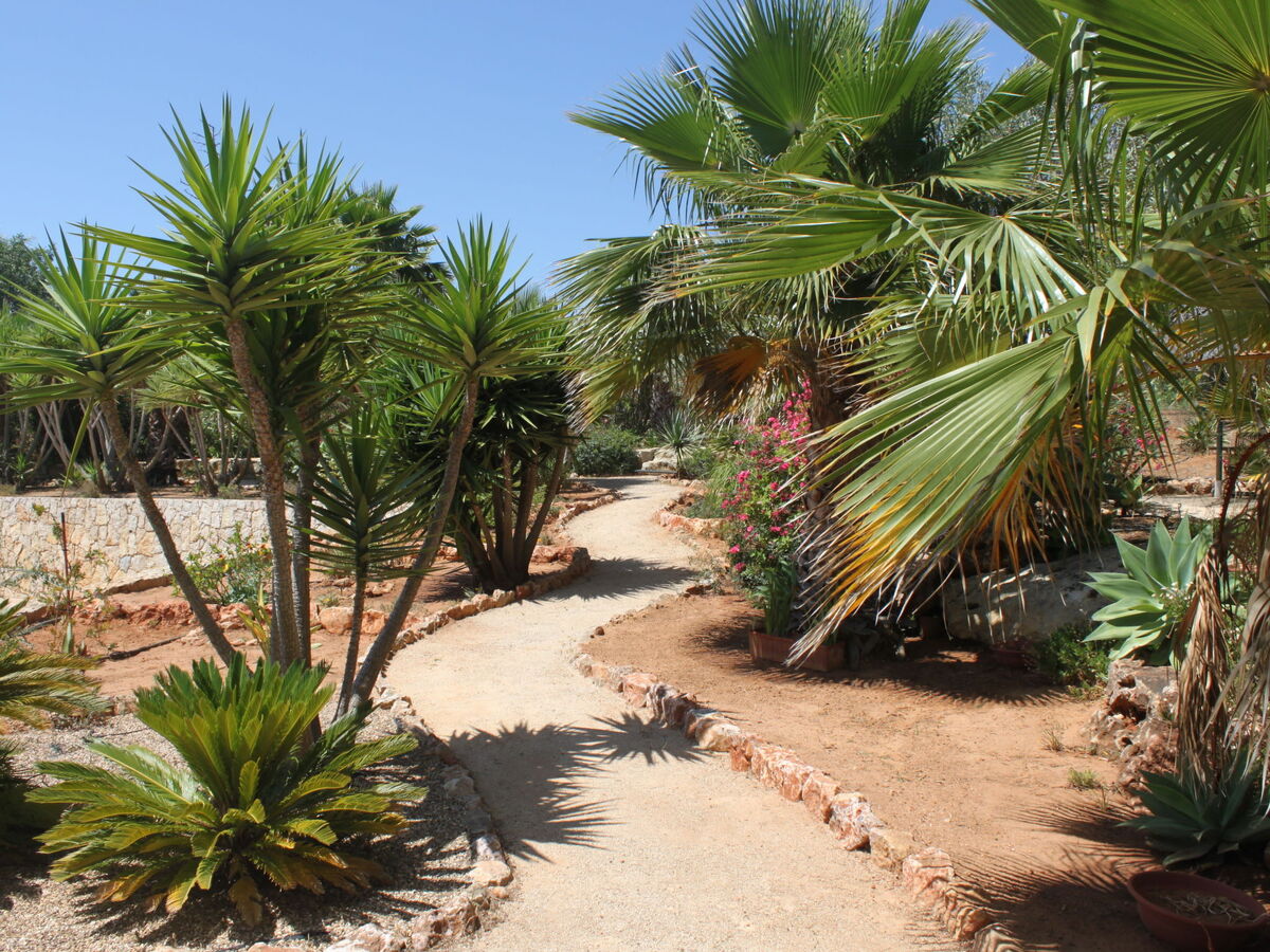 Do Lagar – Maison 6 pers. piscine privée, Carvoeiro - Photo 25
