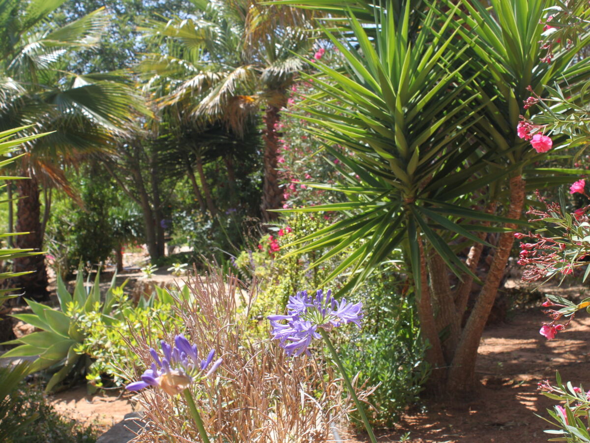 Do Lagar – Maison 6 pers. piscine privée, Carvoeiro - Photo 27