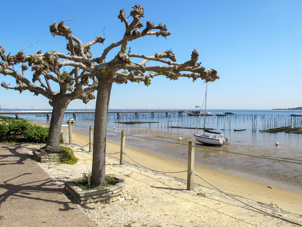 Las Delicias : appartement vue mer à Cap Ferret - Photo 14