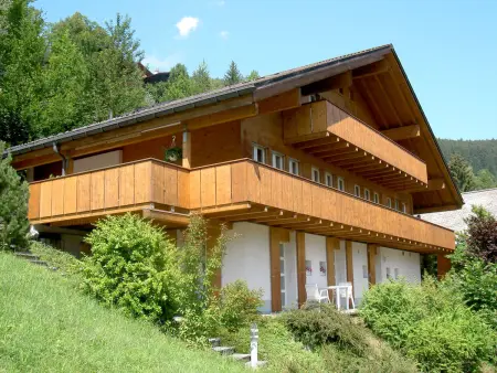 Location chalet à Grindelwald