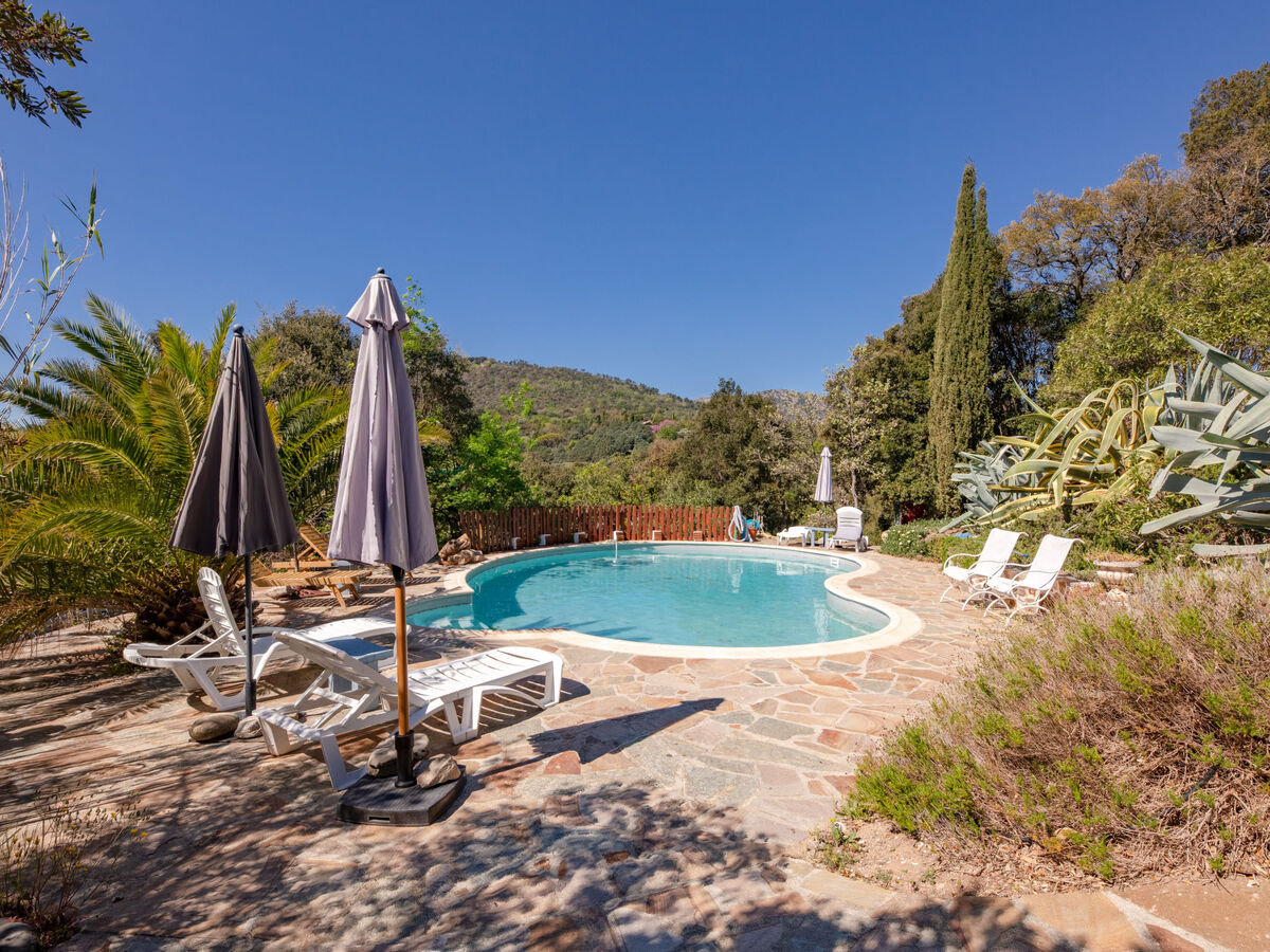 La Sacherie de l'Autourière – Maison 150m² piscine - Photo 3