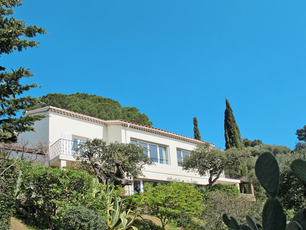 Villa Montemare Babette - Apt 3 pièces au Lavandou - Photo 11