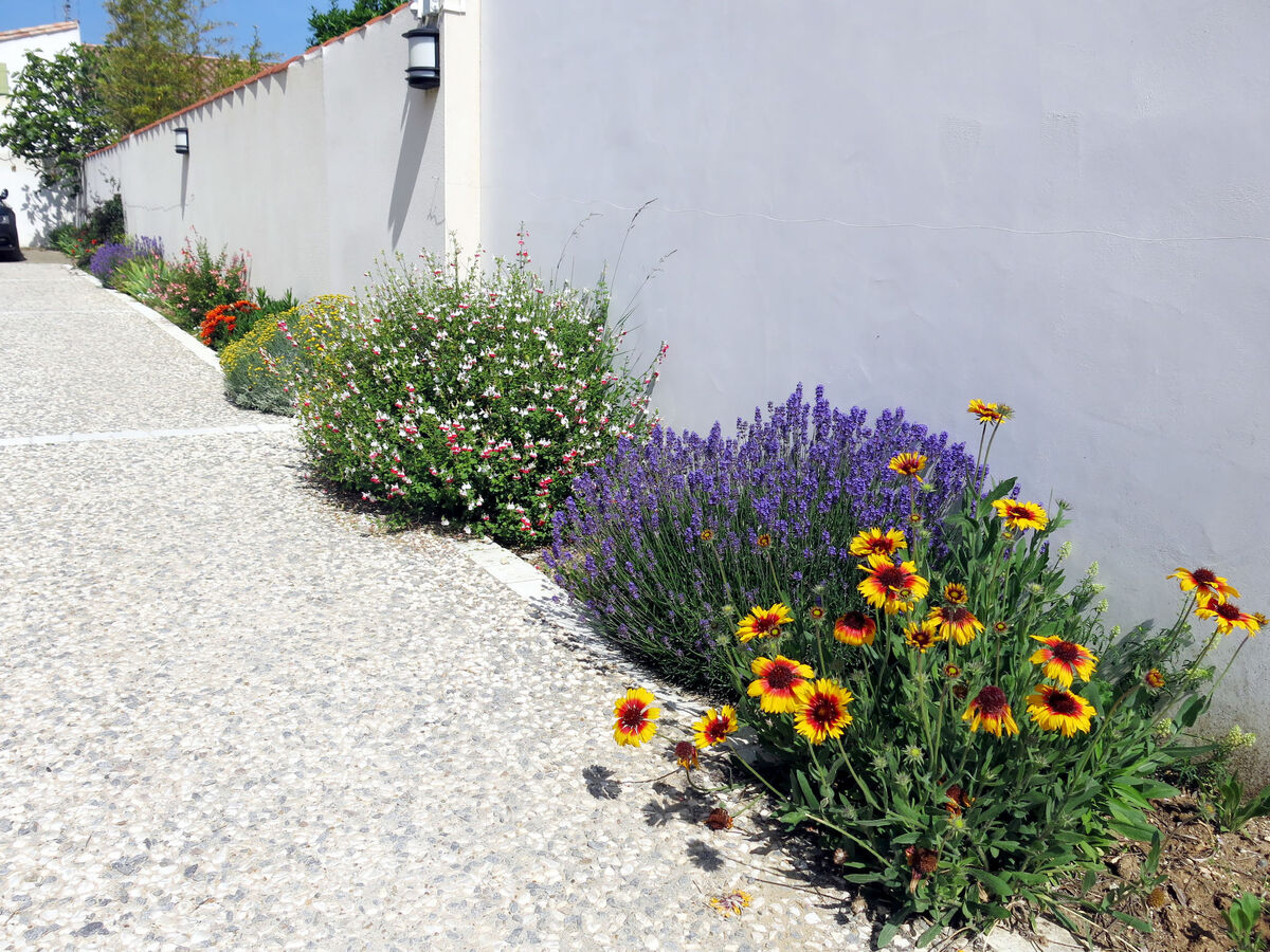 La Touche – Maison 4 pers. Île de Ré, 700 m mer - Photo 16
