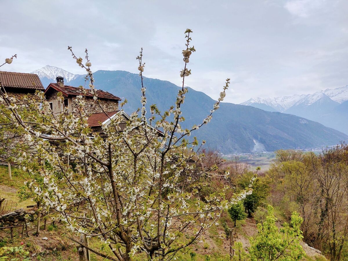 Appartement Raviscioni Albino vue panoramique, Albonico - Photo 26