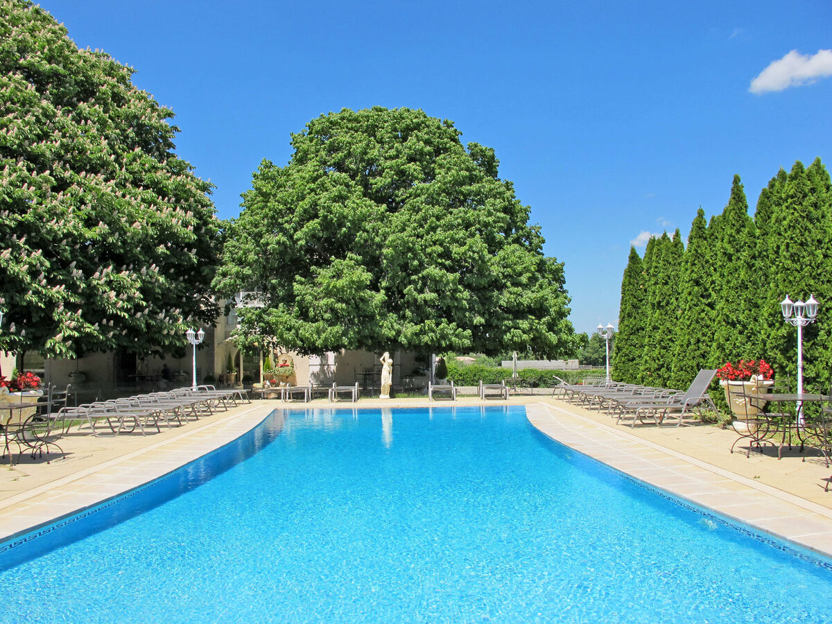 Gîte Marjolaine – Domaine de 60 ha à Bauduen - Photo 3