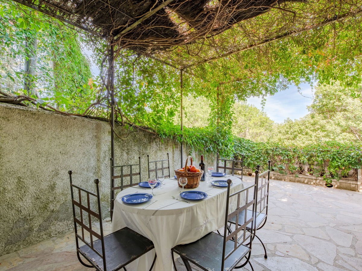 Gîte Marjolaine – Domaine de 60 ha à Bauduen - Photo 18