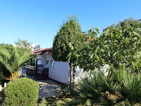 Location maison à Vir, Tin