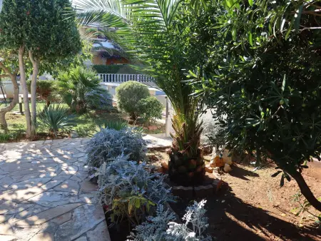 Maison Tin à Vir, 600 m de la plage : photo 20