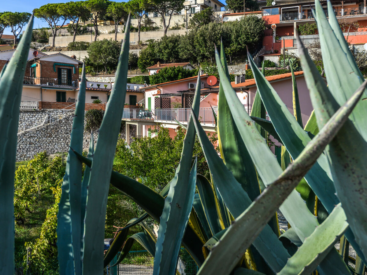 Appartement Giulia - Capoliveri, vue mer et terrasse - Photo 33