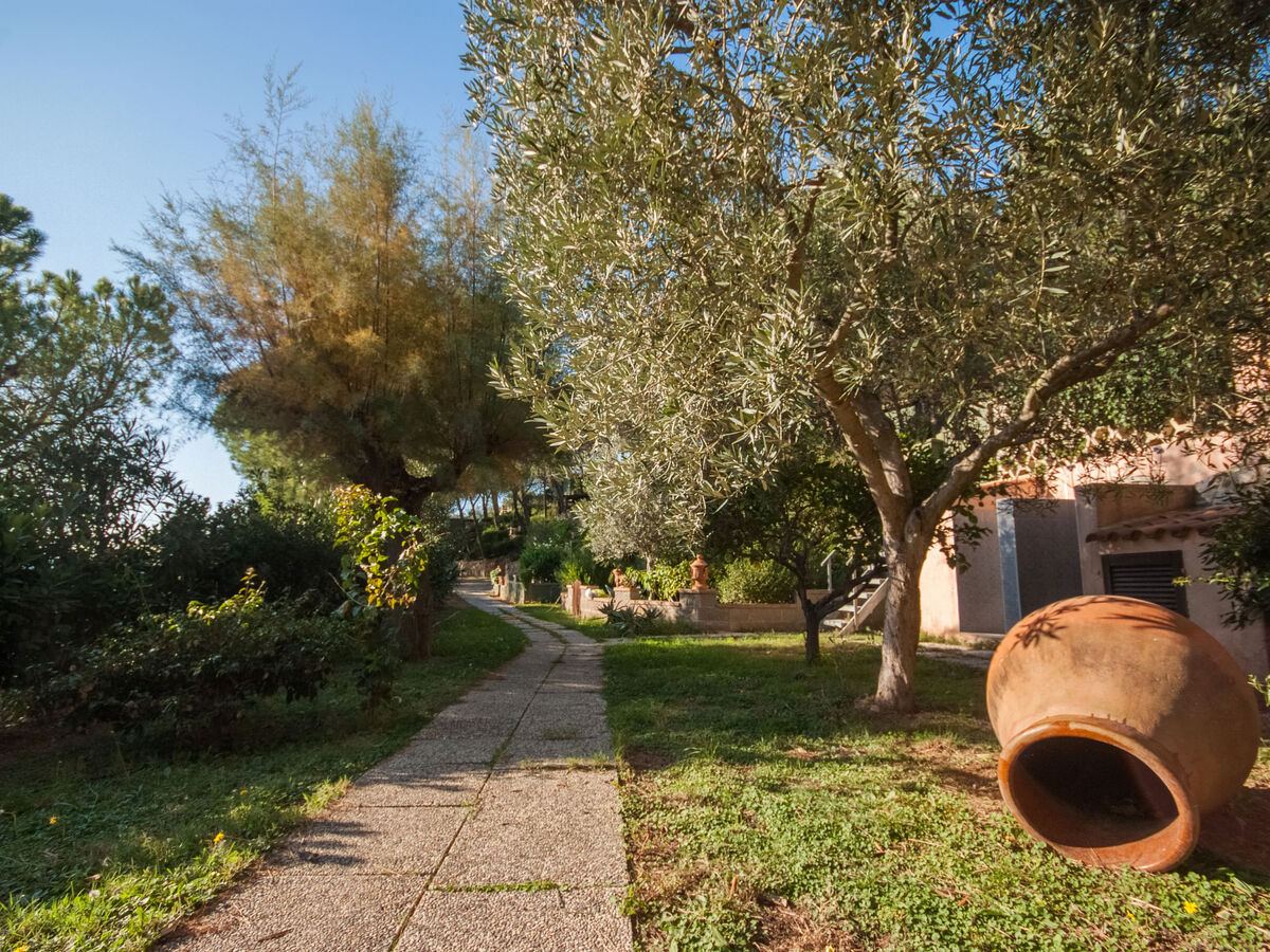 Piccola Oasi 5 - Maison 24 m² vue mer à Capoliveri - Photo 36