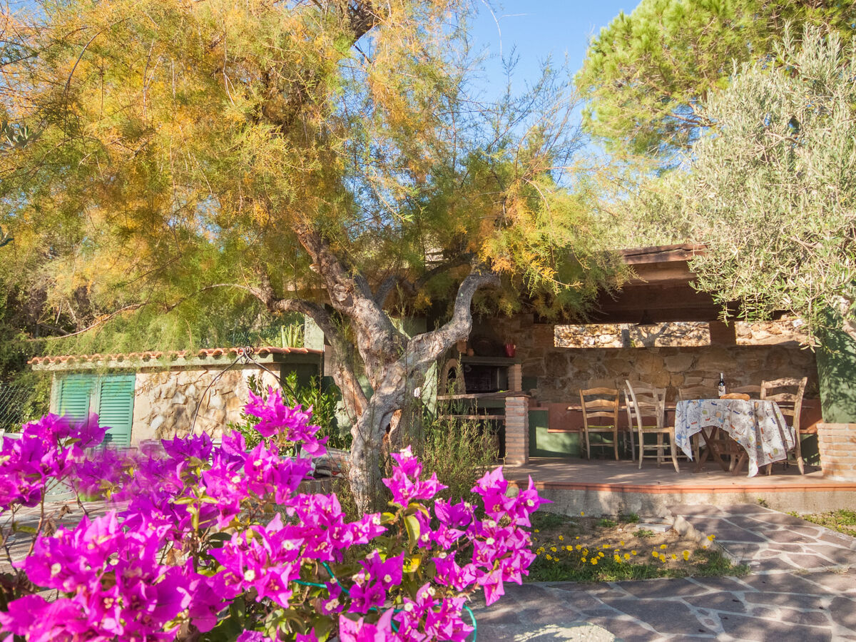 Piccola Oasi 3 – Maison 40 m² vue mer à Capoliveri - Photo 15