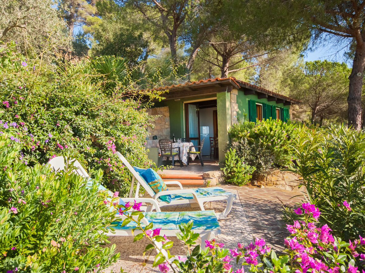 Piccola Oasi 8 – Maison 2 pièces avec vue mer à Capoliveri - Photo 2