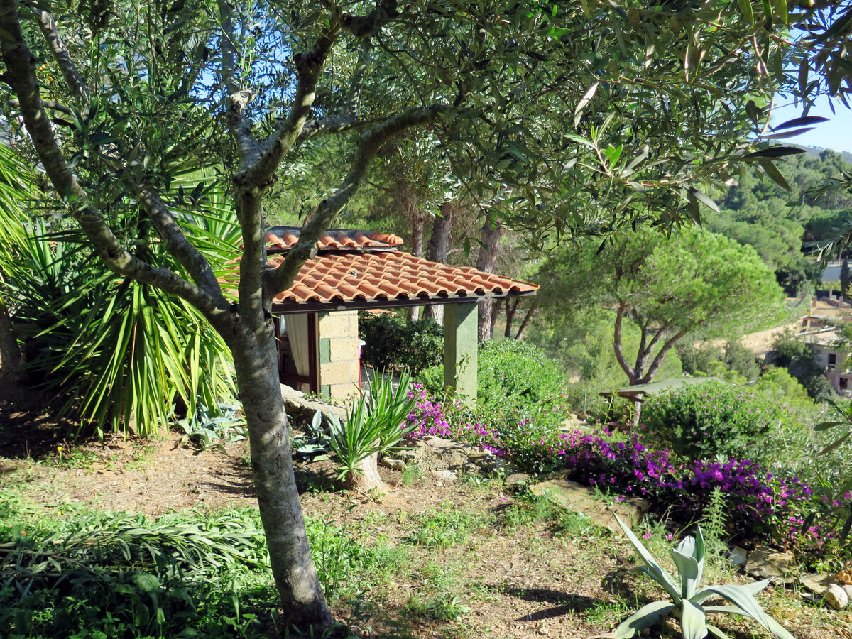 Piccola Oasi 8 – Maison 2 pièces avec vue mer à Capoliveri - Photo 16