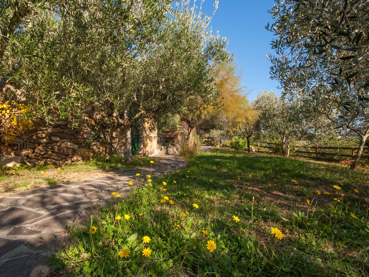 Piccola Oasi 8 – Maison 2 pièces avec vue mer à Capoliveri - Photo 34
