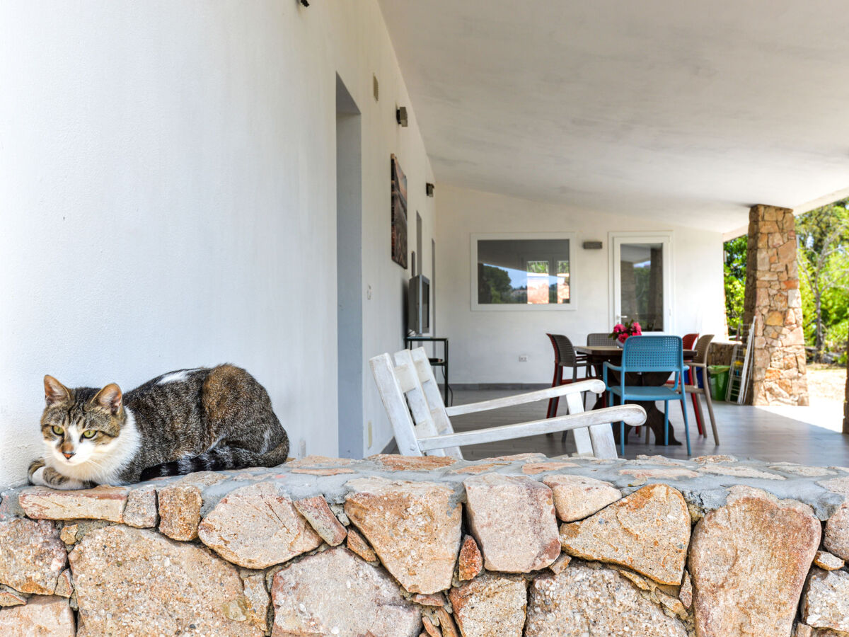 Maison Il Melograno à Capoliveri, 6 pers., terrasse 60m² - Photo 29