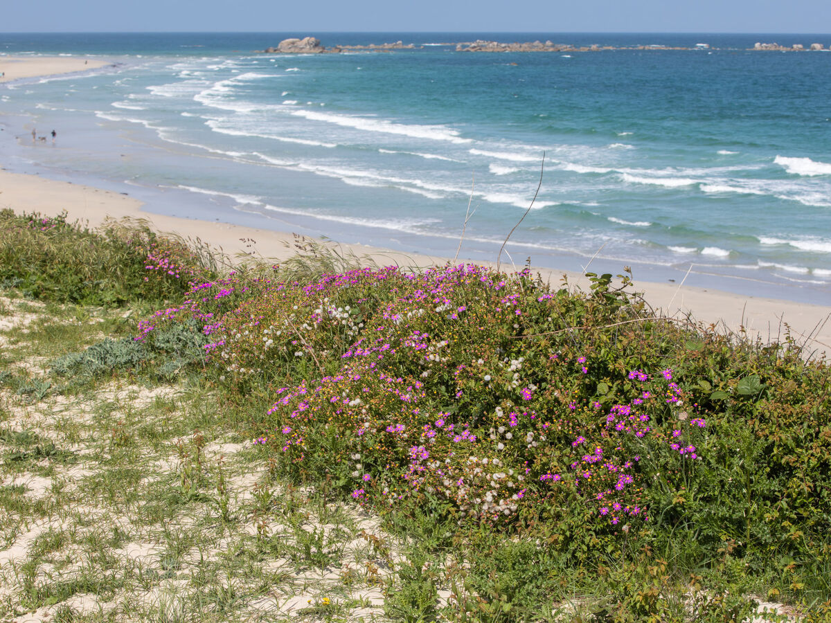 Ty Glaz, maison 80 m² à 800 m de la plage - Photo 26