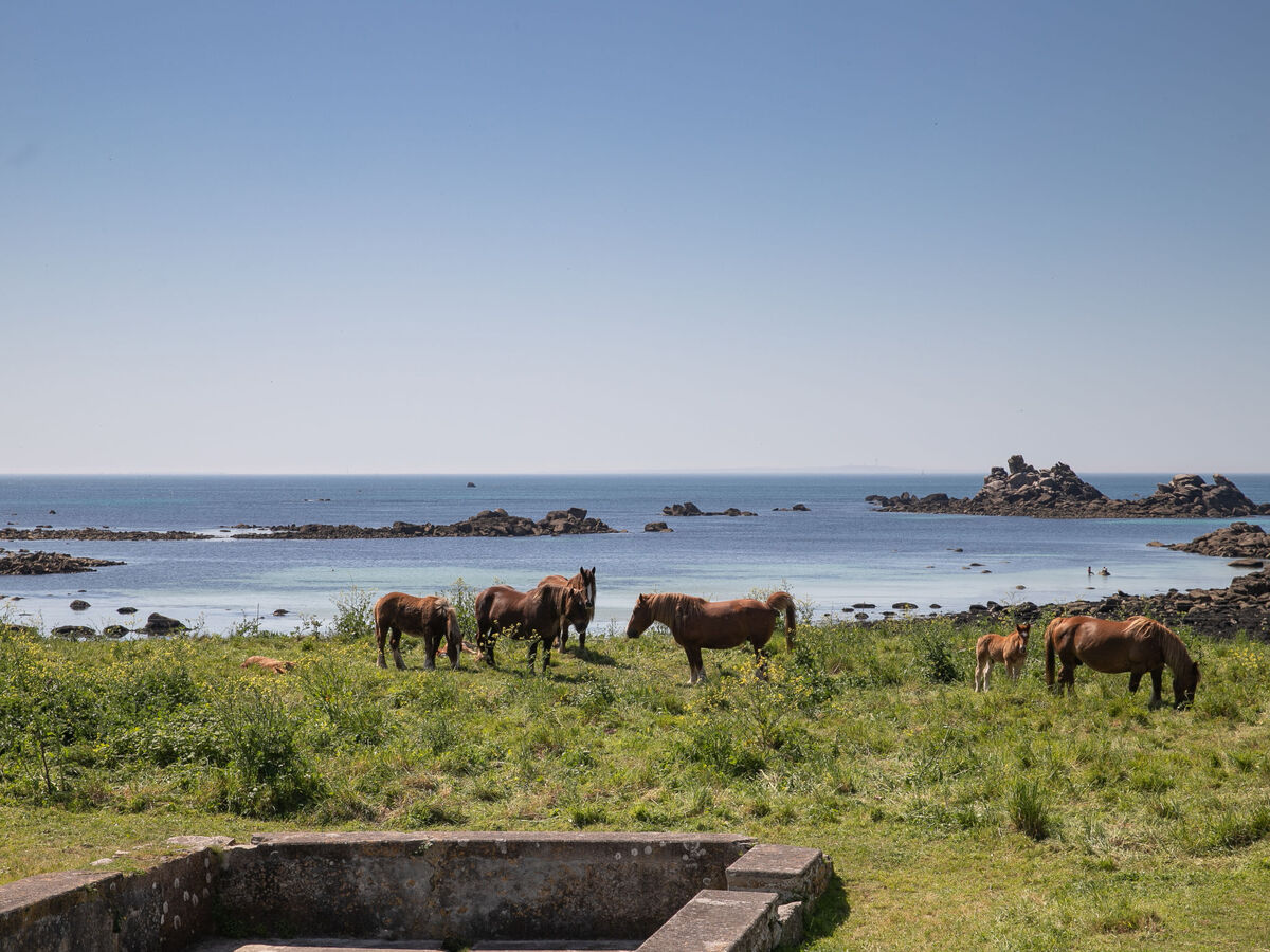 La Grande Roche – Maison rénovée à 600 m de la mer - Photo 30